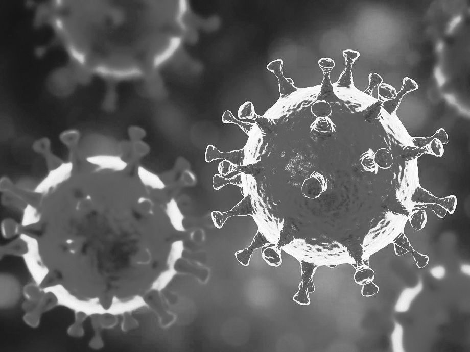 MERS virus, Meadle-East Respiratory Syndrome coronovirus